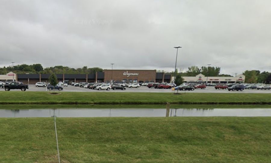Wegmans-anchored shopping center in Geneseo, NY